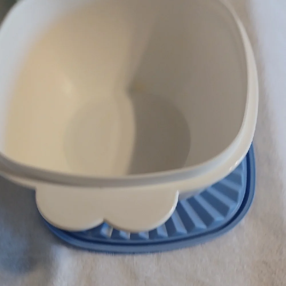 Tupperware Blue and Cream Storage Set